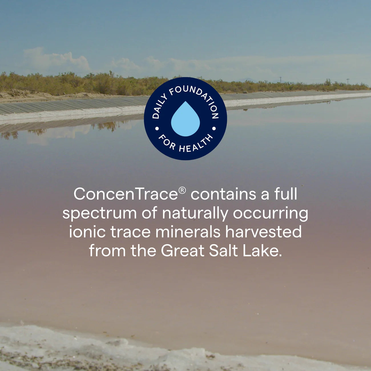 TRACE ConcenTrace® Trace Mineral Drops