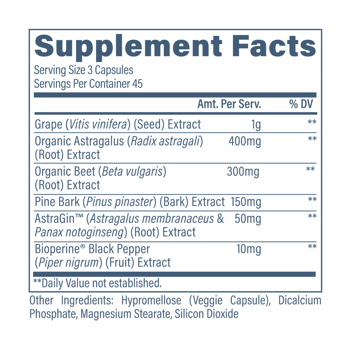 Revive Kidney Suppport