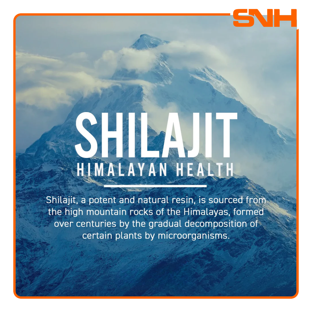 Applied Nutrition Pure Shilajit capsules bottle, UK-made halal Himalayan Shilajit energy and wellness adaptogen with 20:1 extract and Fulvic Acid