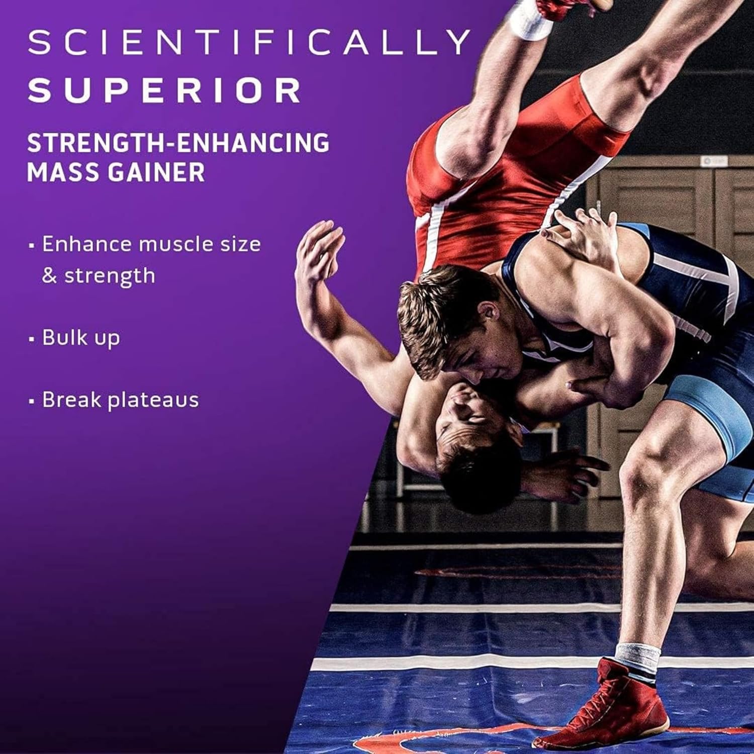 MUSCLETECH Mass-Tech Elite 6LB