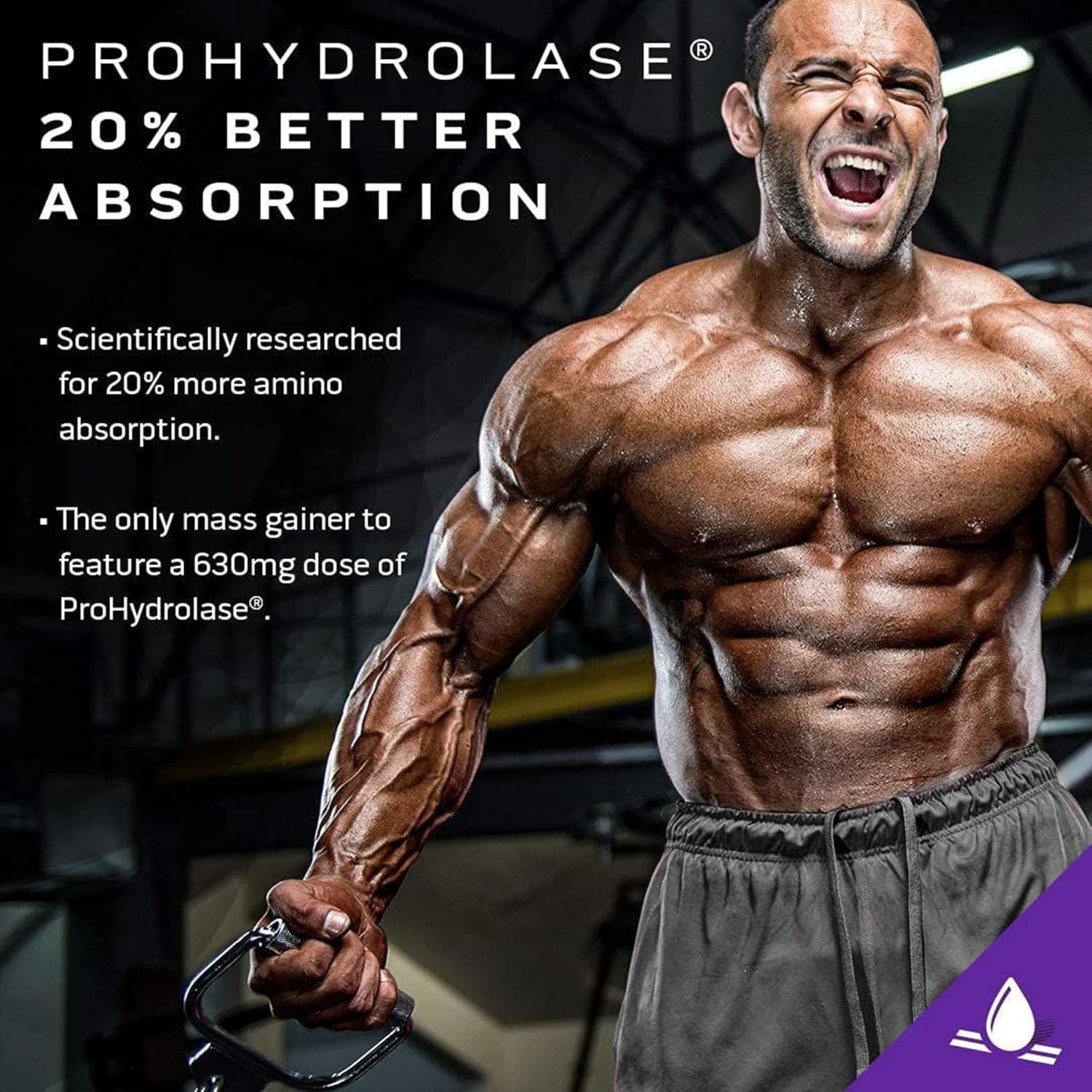 MUSCLETECH Mass-Tech Elite 6LB