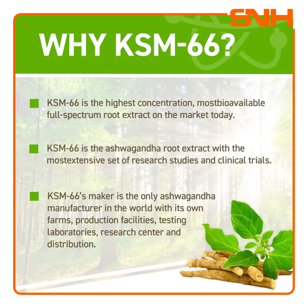 Applied Nutrition Ashwagandha KSM-66 capsules bottle, UK-made halal stress relief supplement with clinical-grade KSM-66 Ashwagandha root extract