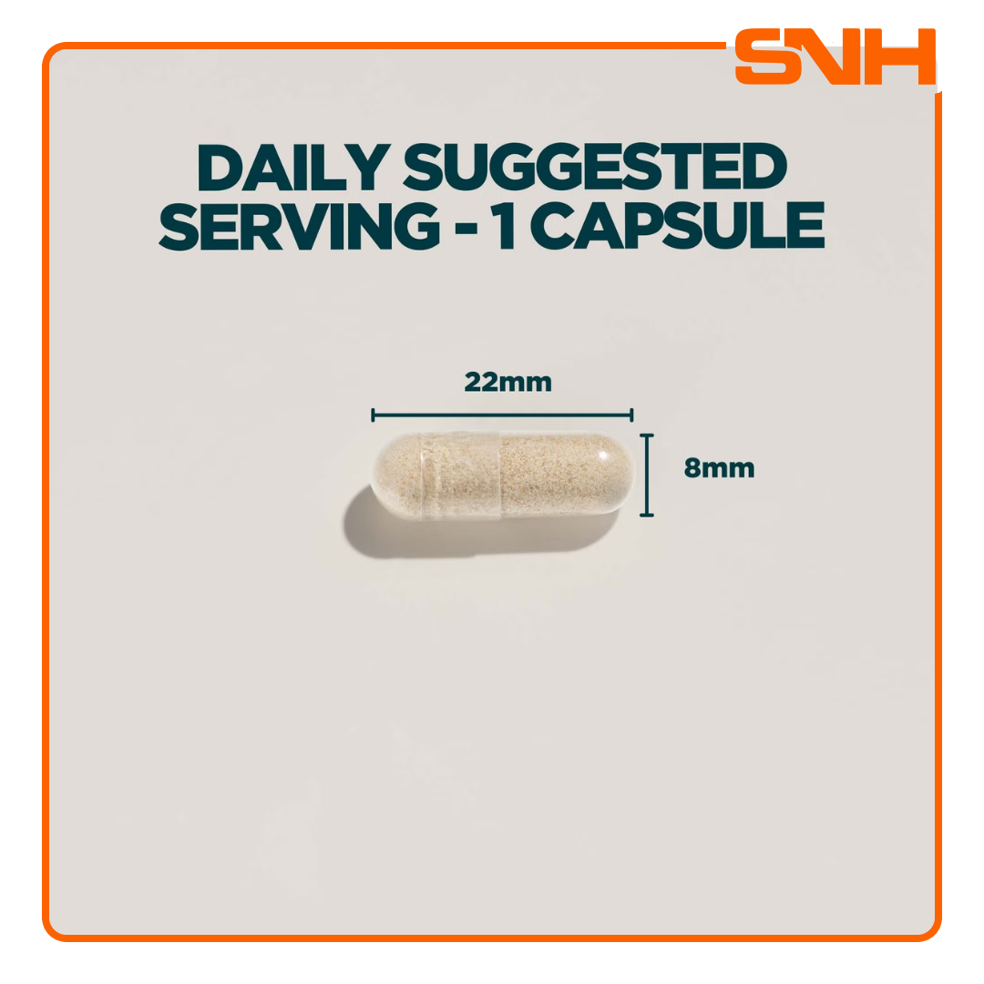 Myprotein Ashwagandha KSM-66 capsules, UK-made daily ashwagandha with 500mg full-spectrum KSM-66 root extract per capsule