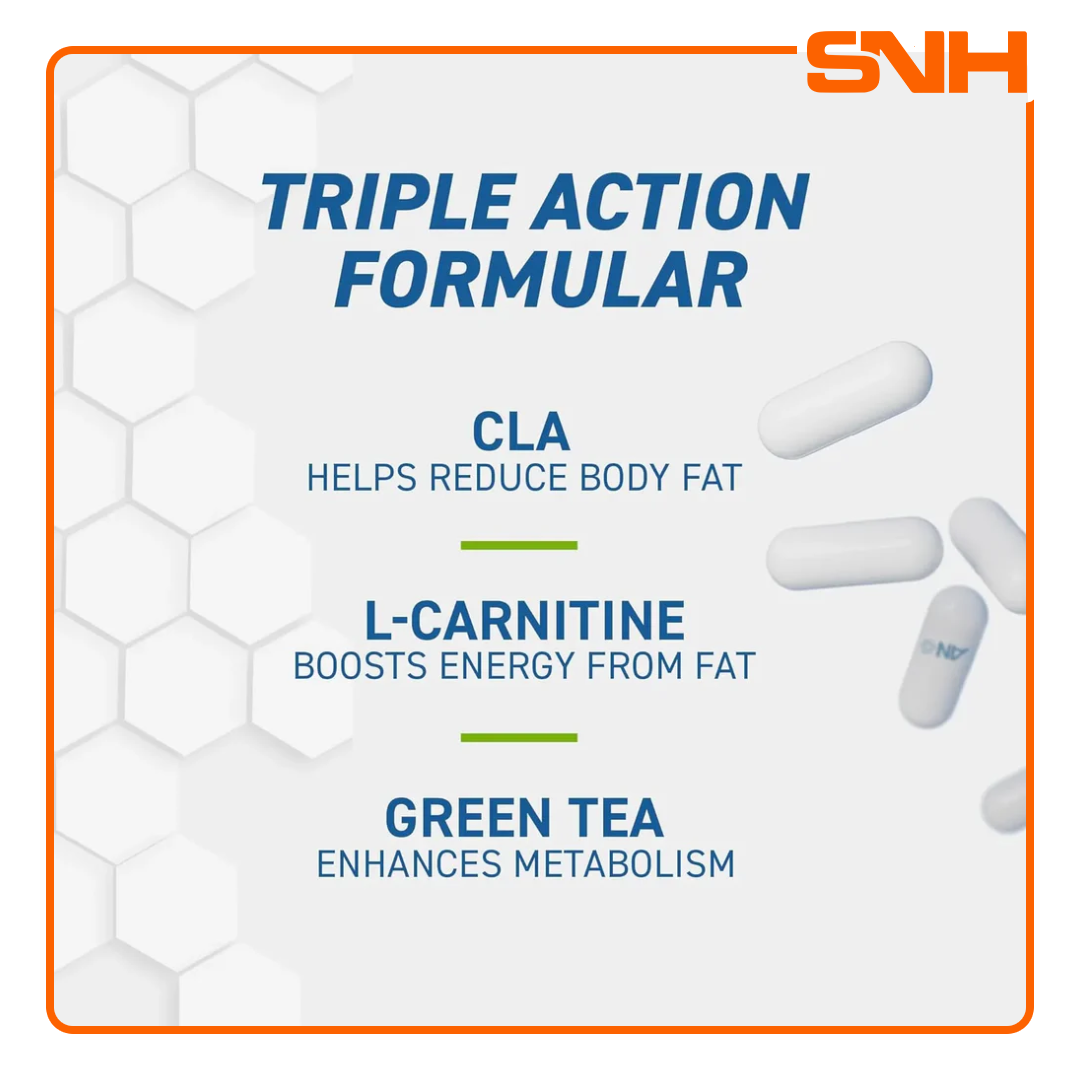 Applied Nutrition CLA, L-Carnitine & Green Tea bottle, UK-made halal triple-action energy boost and fat burn capsules in veggie shell