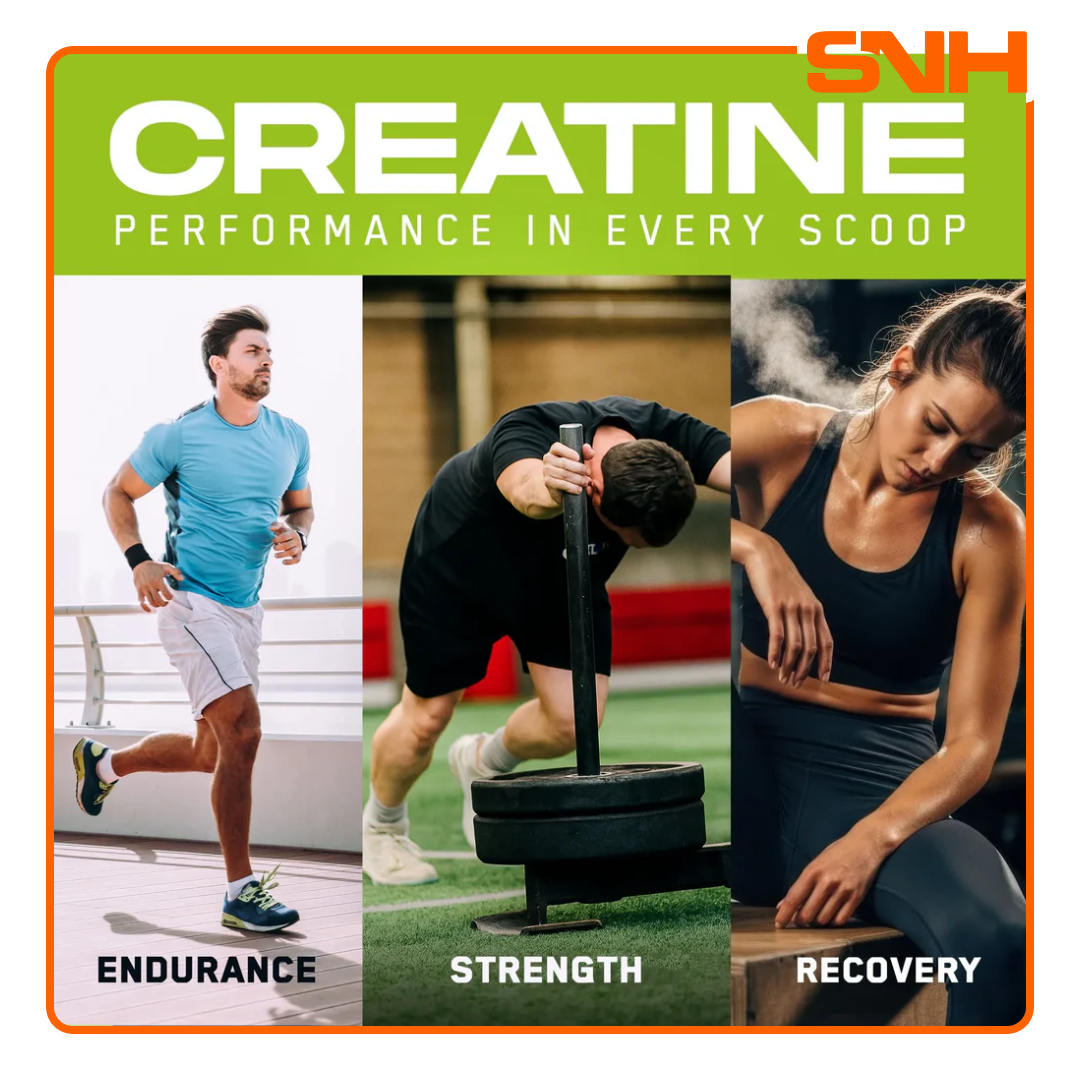 Applied Nutrition Creapure Creatine Monohydrate tub, UK-finished daily creatine with 100% German Creapure for premium-grade strength support