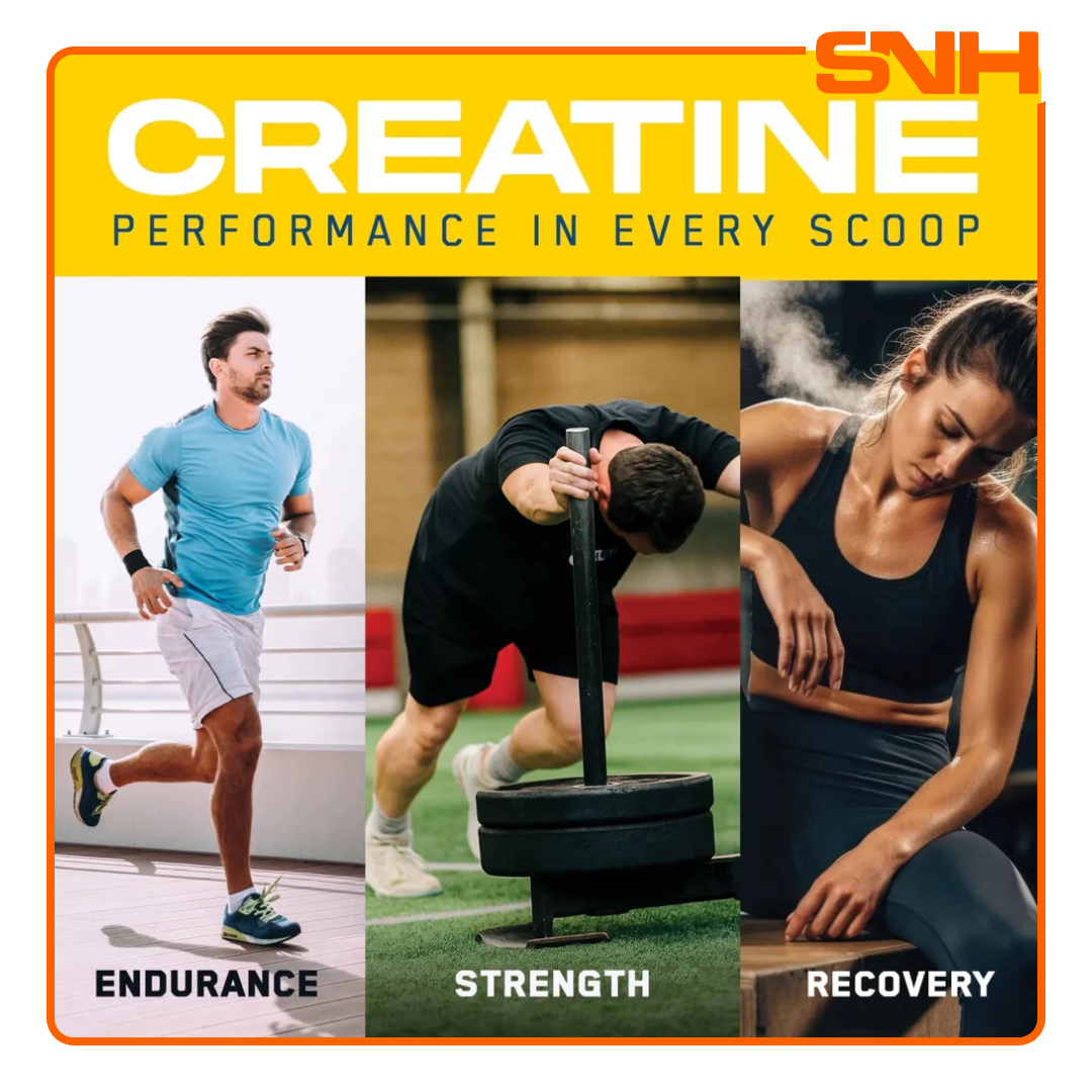 Applied Nutrition Creatine Monohydrate + Peptide tub, UK-made Informed Sport creatine and peptides with PeptiStrong for strength and recovery
