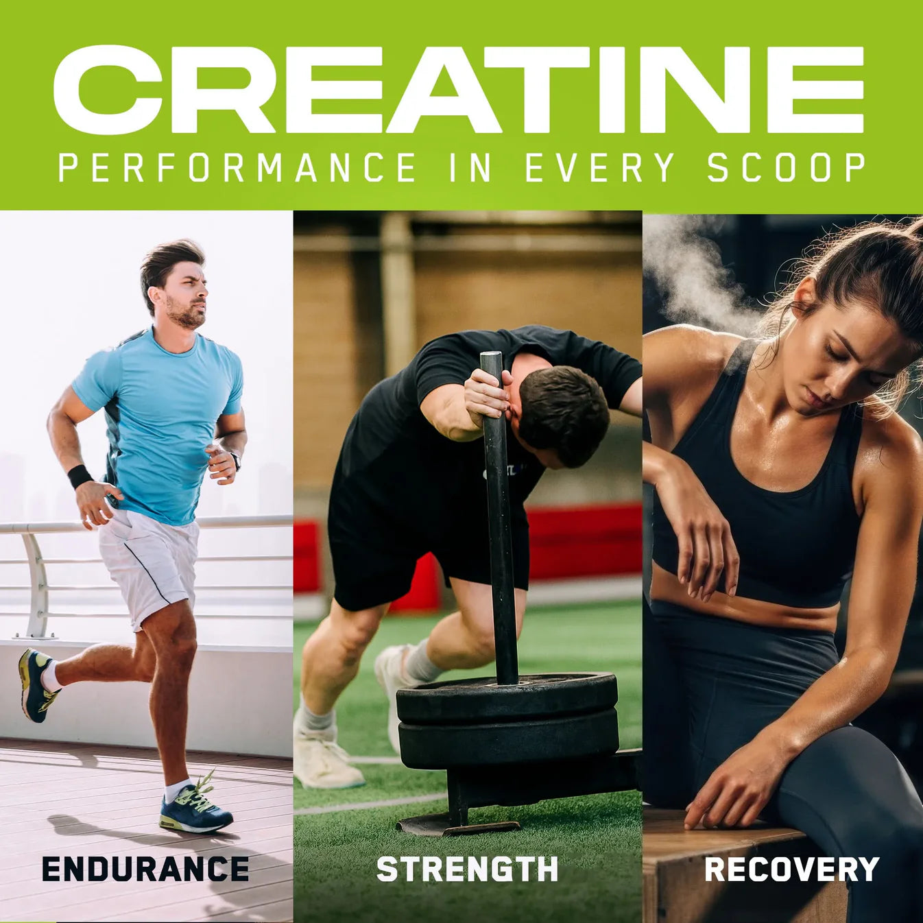 APPLIED NUTRITION Creapure™ Creatine Monohydrate | Premium-Grade Performance Support - Sports Nutrition Hub 