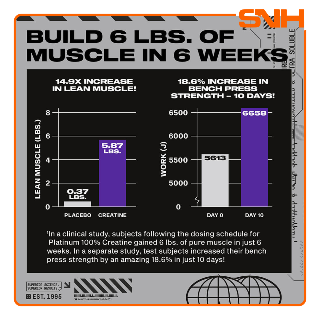 MuscleTech Platinum 100% Creatine 400g tub, US-made HPLC-tested daily creatine with 5g micronized creatine monohydrate per scoop