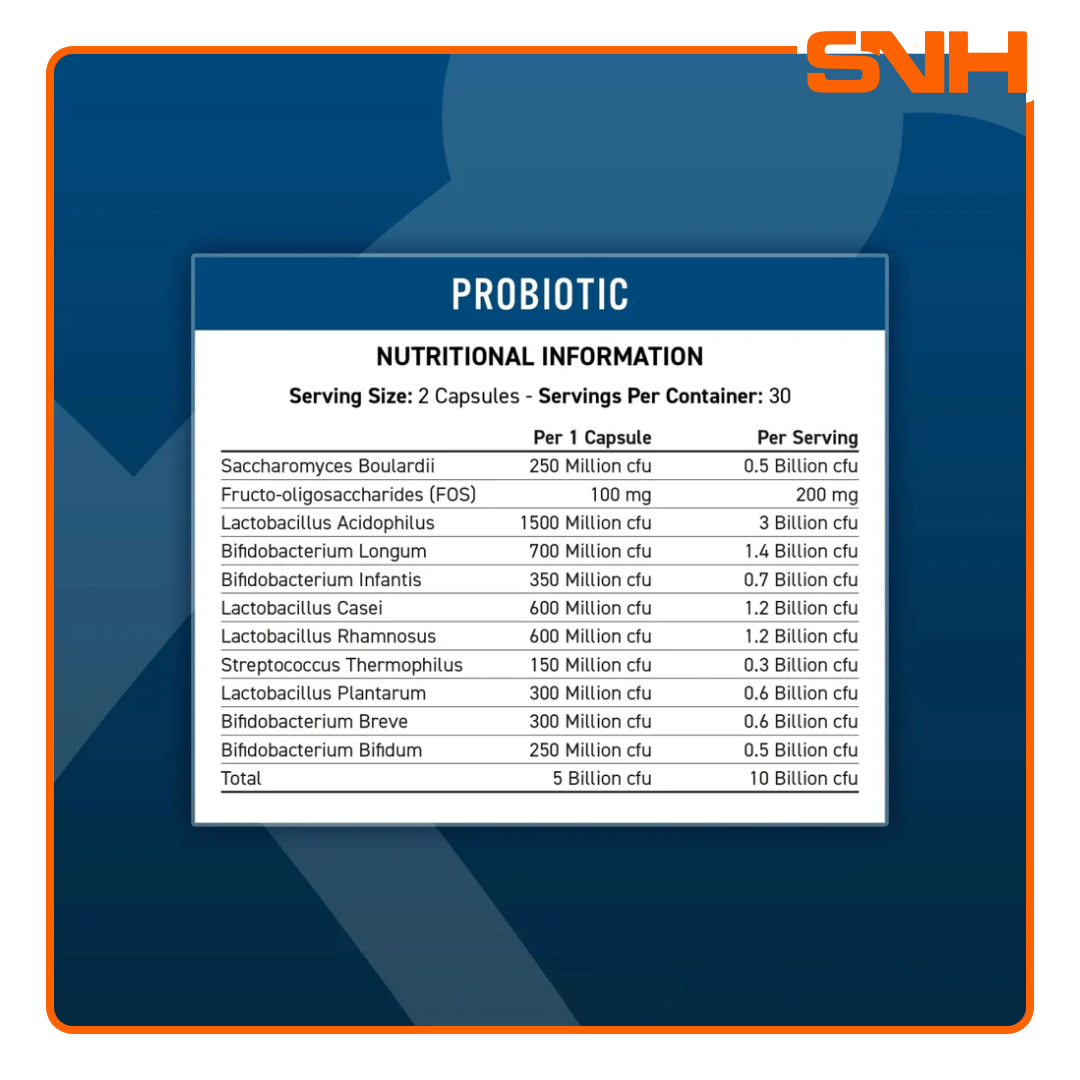 Applied Nutrition Probiotic Advanced Multi-Strain capsules, UK-made vegan halal probiotics with 10 billion CFUs per serving